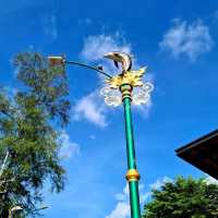 ถนนสายรุ้ง ป่าตอง สวยๆ (ถนนเลียบชายหาด)