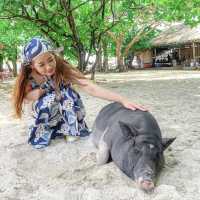 ไปหาน้องหมูบนเกาะกลางทะเลกัน 🐷😆🌊