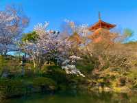 京都　京都散策旅！ねねの道から清水寺まで散策してみた！
