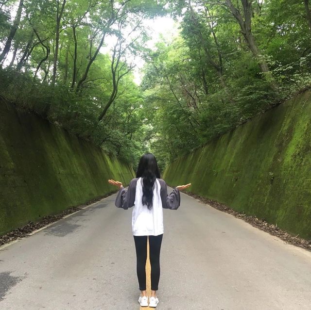 하늘을 날자~~~