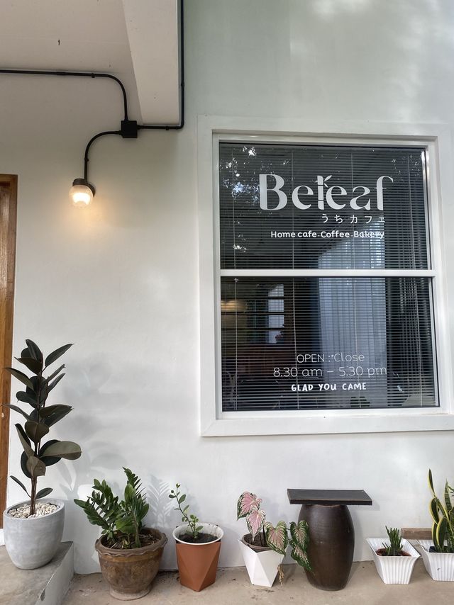 Beleaf home cafe 🎋