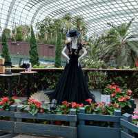 Spanish Serenade with Sunflowers, Flower Dome