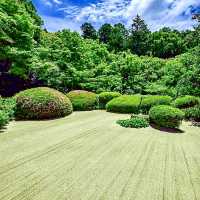 【京都】名庭園と光と影