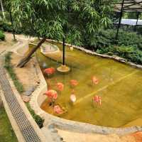公園特色，歴史
