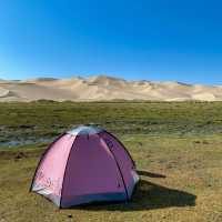 텐트 밖은 사막⛺️