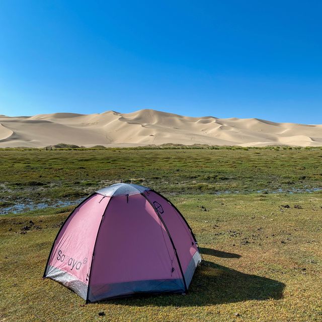 텐트 밖은 사막⛺️