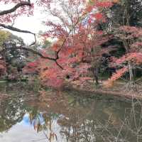 京都市　京都府立植物園