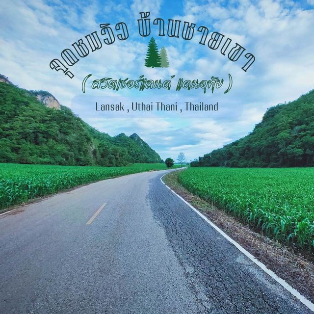 จุดชมวิว 📸 บ้านชายเขา สวิตเซอร์แลนด์เมืองไทย