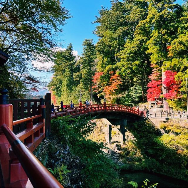มรดกโลก สะพานชินเคียว🍁🍁🍁