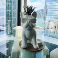W Hotel 夏日Cool 一 Cool