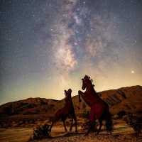 Anza Borrego Desert