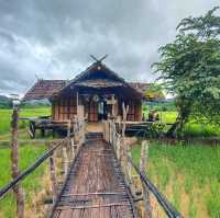 บ้านนอก ฮอกควาย สบายๆ เมืองคอง