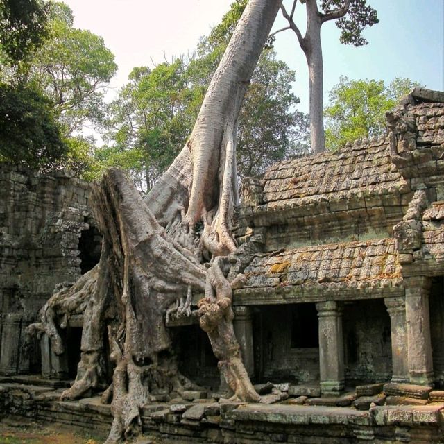 ANGKOR WAT