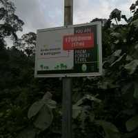 Tree Top Walk Sungai Sedim Kedah 🇲🇾