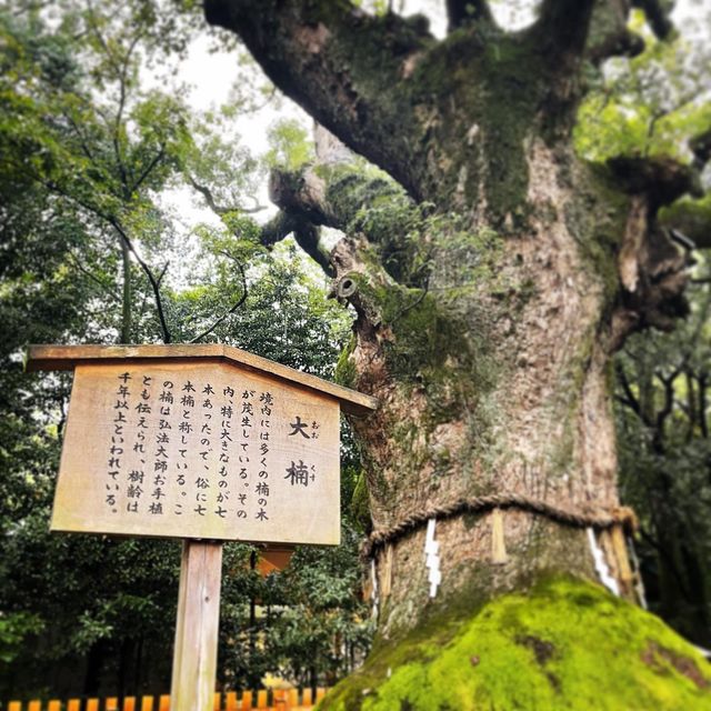 熱田神宮(愛知•名古屋)