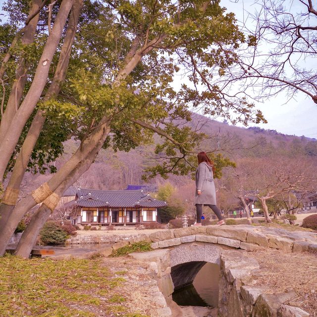 알쓸신잡2 진도 여행의 그 곳, 운림산방☁️