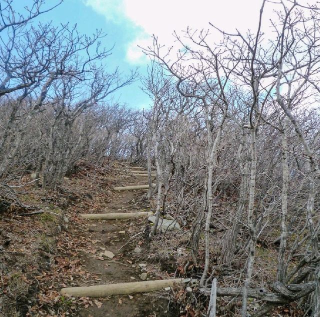 평창의 유명 명산 두타산 등산