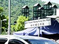祈福靚境 林村許願樹