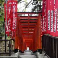 【東京】日枝神社へお参り⛩