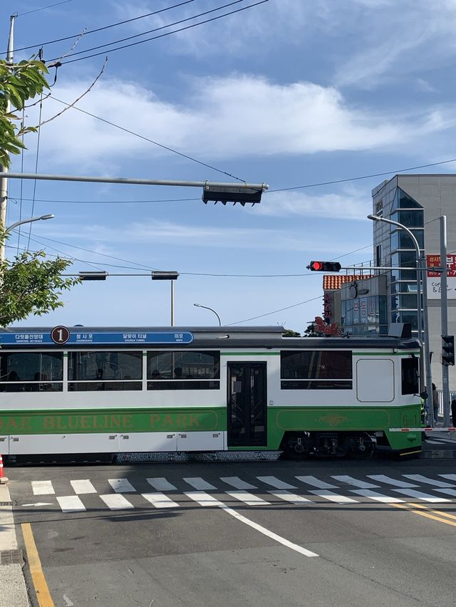 부산 청사포 블루라인파크