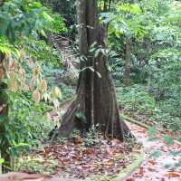 Namtok Wang Sai Thong