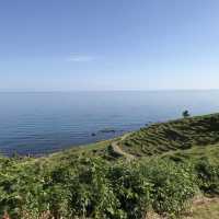 《日本-輪島市》堅持要去看的「梯田之美」