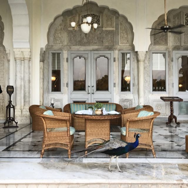 Rambagh palace 👳🏻‍♂️อินเดียจ๋าพี่มาแล้ว 