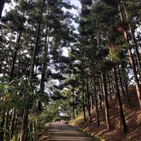 ;Taman Saujana Hijau, Putrajaya.