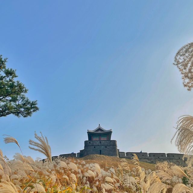 [볼곳] 가을이 기다려지는 이유🍂🍁 | 수원 방화수류정