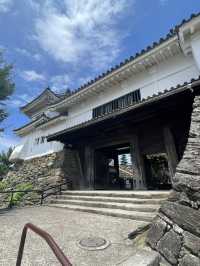 和歌山城と言えば、徳川御三家の紀州藩