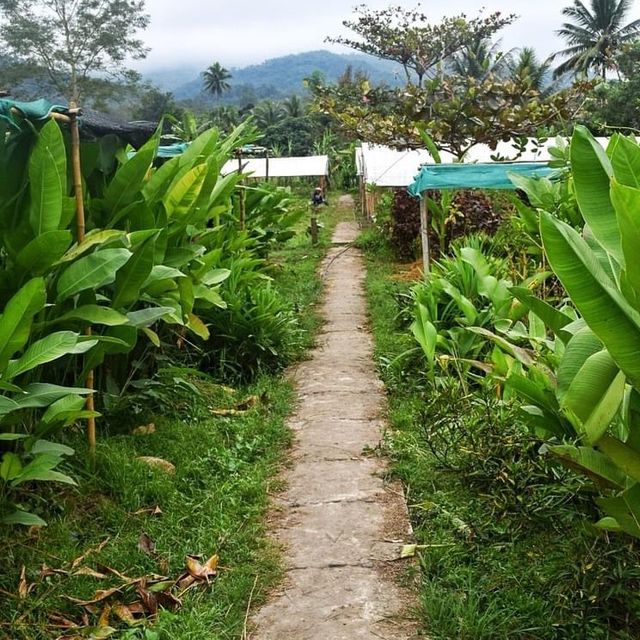 Visiting the Living land organic farm