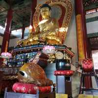 วัดพุทธมหายาน นานาชาติ