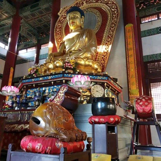 วัดพุทธมหายาน นานาชาติ
