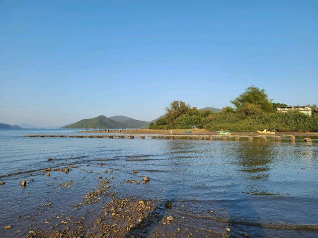 【CP值最高的紅樹林~泥涌🌴】