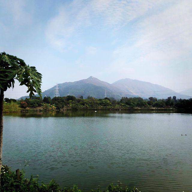 Tranquil Nam Sang Wai, Hong Kong 