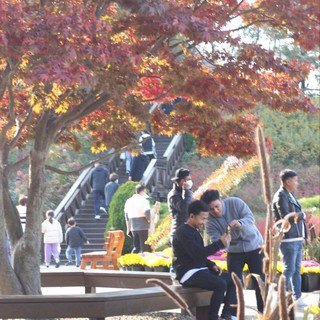 Autumn in South Korea