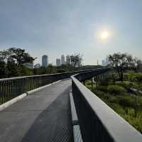 สวนเบญจกิติ และ Skywalk 