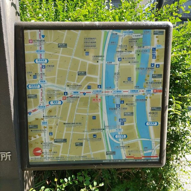 大阪！さすが御堂筋の銀杏並木