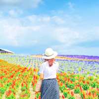 富良野 かんのファームの花畑