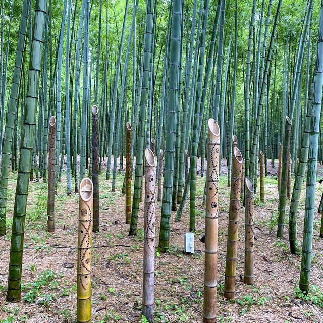 若竹の杜 若山農場 🎋