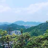 尖削如錐的鷓鴣山