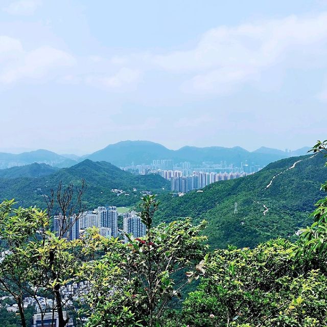 尖削如錐的鷓鴣山 尖削如錐的鷓鴣山