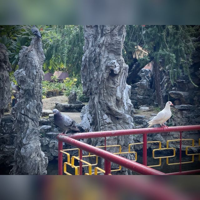 青松觀