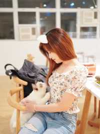 🐱🐱Catio貓cafe！Caca去搵喵喵~🐱🐱