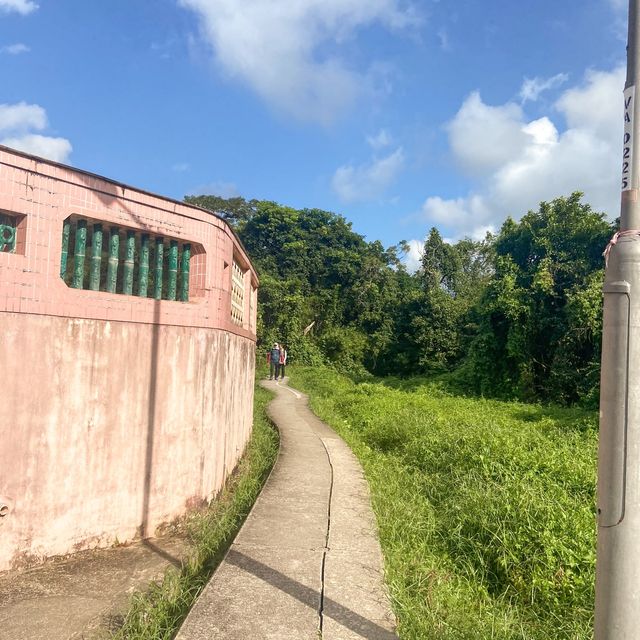 大埔行山路線推介 / 去睇粉紅岩石﹗