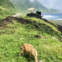 隨便拍隨便走都美麗的蘭嶼島