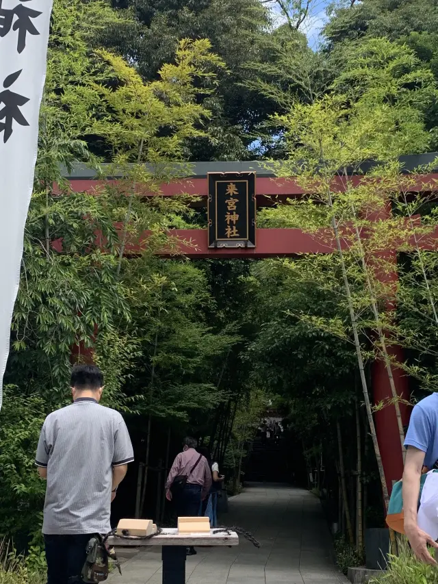 【静岡県】来宮神社