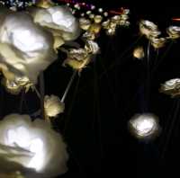 겨울에 즐길 수 있는 울산대공원 빛축제