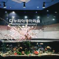 국내 최대 민물고기 수족관, 단양 다누리 아쿠아리움
