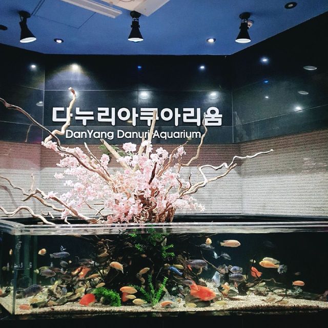 국내 최대 민물고기 수족관, 단양 다누리 아쿠아리움